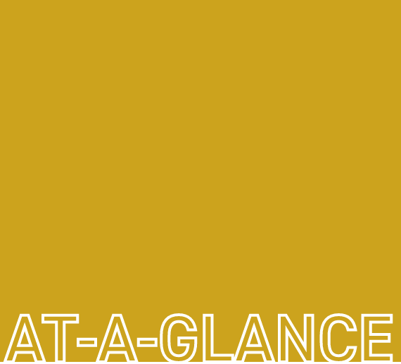 at-a-glance